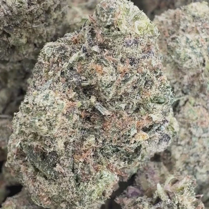 Lemon Drop - Sativa 3.5g