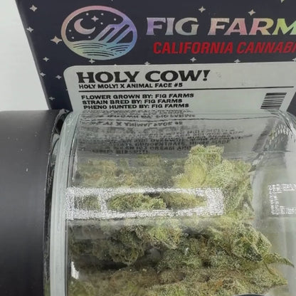 Fig Farms - Holy Cow! - Sativa 3.5g