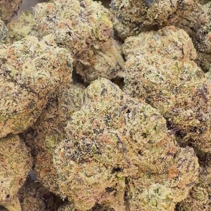 Lollipop Dream - Sativa (Exotic) 3.5g