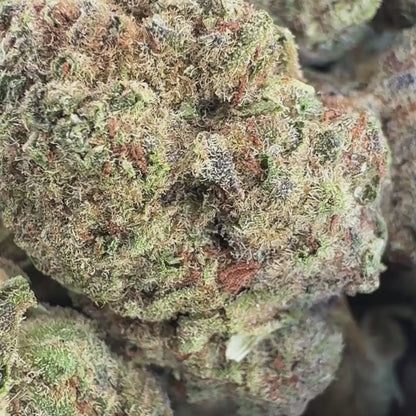 Cinnabon - Hybrid 3.5g