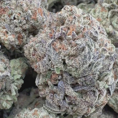 Blue Caviar - Indica 3.5g