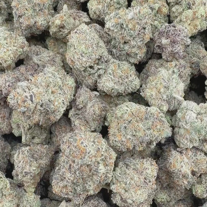 Purple Sherb - Hybrid 3.5g