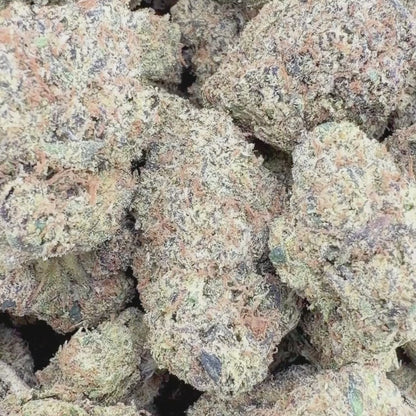 Dragon Fruit Gelato - Hybrid 3.5g