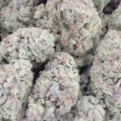 Purple Nightshade - Indica 3.5g