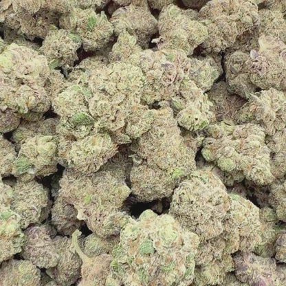 Platinum OG - Hybrid 3.5g