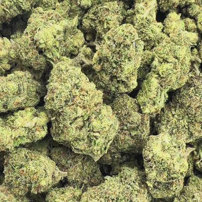 Truffle Butter - Sativa 3.5g