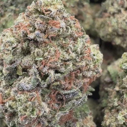 Mimosa - Sativa 3.5g