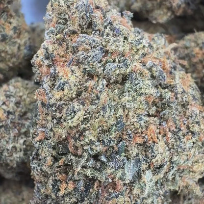 Key Lime Pie - Sativa 3.5g