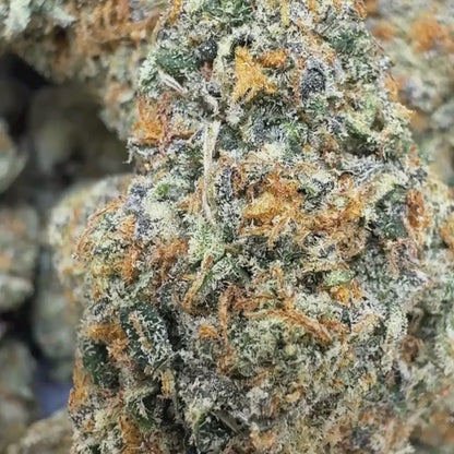 Peach Rings - Sativa (Exotic) 3.5g
