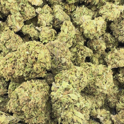 Purple Train Wreck - Sativa 3.5g