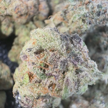Tropical Rings - Hybrid (Exotic) 3.5g
