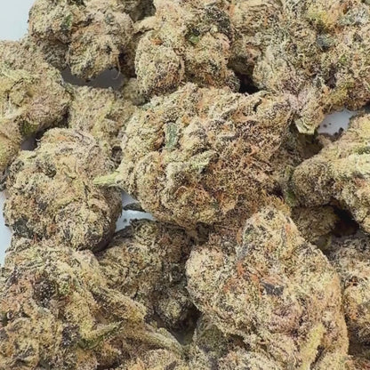 Snowy Delight - Hybrid (Exotic) 3.5g