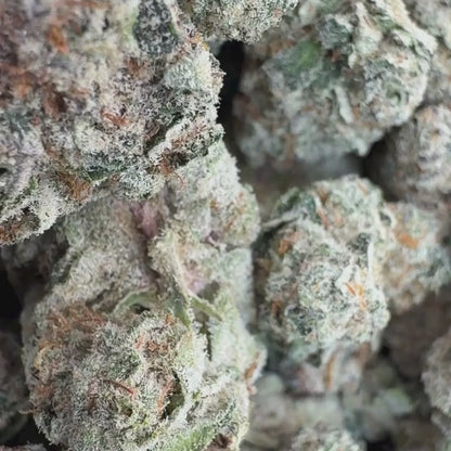 Chocolate Box - Hybrid 3.5g