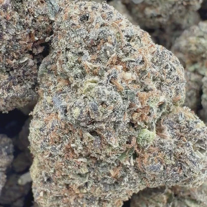 Gasolina - Hybrid 3.5g