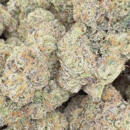 World War Runtz - Sativa (Exotic) 3.5g