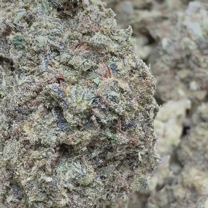 Venom OG - Indica 3.5g