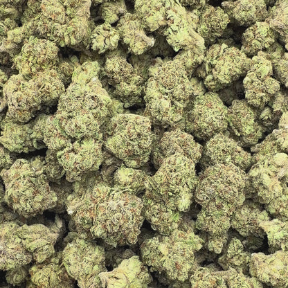 High Tolerance - Sativa 3.5g