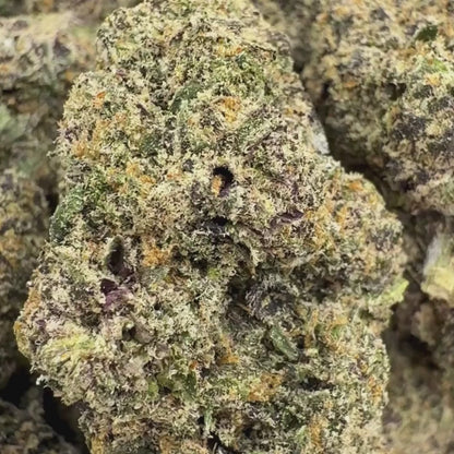 Apple Fritter - Hybrid (Exotic) 3.5g