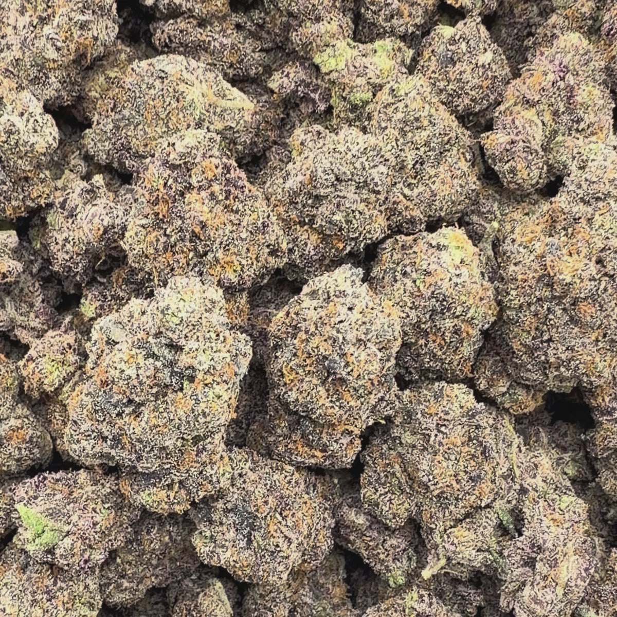 Bodega Candy - Hybrid (Exotic) 3.5g – Weedz DC