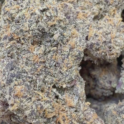 Cereal Milk - Hybrid (Exotic) 3.5g