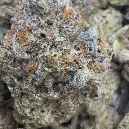 Blue Zushi - Hybrid (Exotic) 3.5g