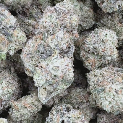 Obama Runtz - Indica 3.5g