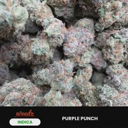 Purple Punch - Indica 3.5g