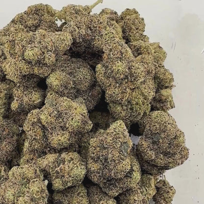 Gas Face - Sativa (Exotic) 3.5g