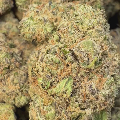 Blue Thai - Hybrid 3.5g