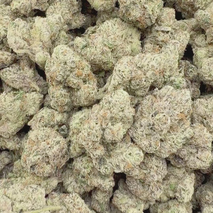 Royal Caviar - Indica (Exotic) 3.5g