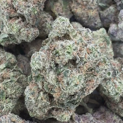 Raspberry Parfait - Sativa 3.5g