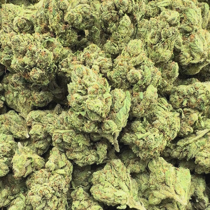 Diesel Dream - Hybrid 3.5g