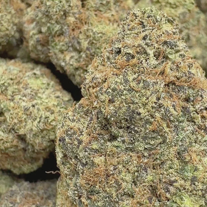 Nuclear OG - Indica (Exotic) 3.5g