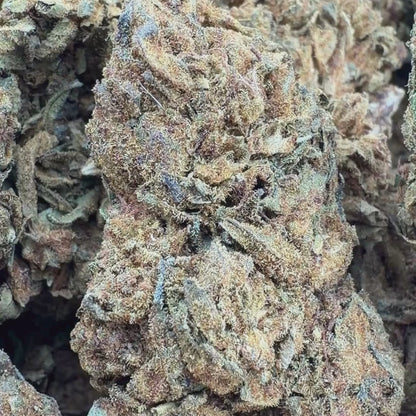 Evergreen Kush - Hybrid 3.5g