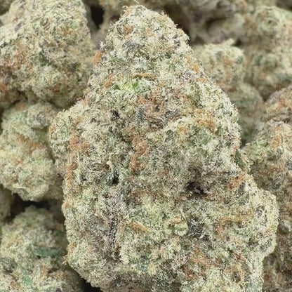 Grape Goblin - Indica 3.5g
