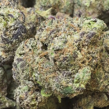 Tropical Starburst - Indica (Exotic) 3.5g