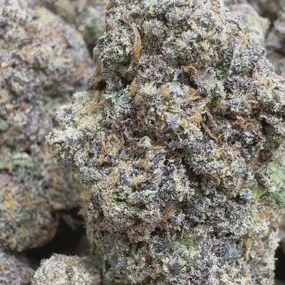Pink Lemonade - Sativa (Exotic) 3.5g