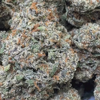 Lemon Haze - Sativa (Exotic) 3.5g