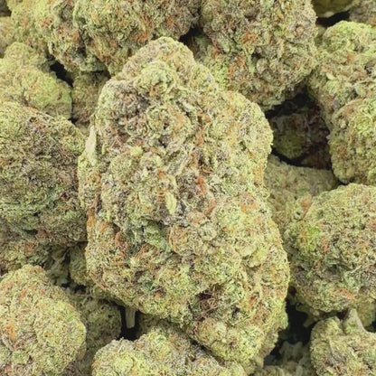 Cereal Milk Gelato - Indica 3.5g