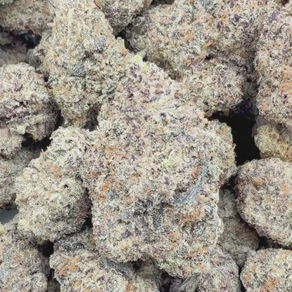 Oreoz - Hybrid (Exotic) 3.5g