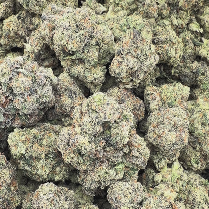 Formula One - Hybrid (Exotic) 3.5g