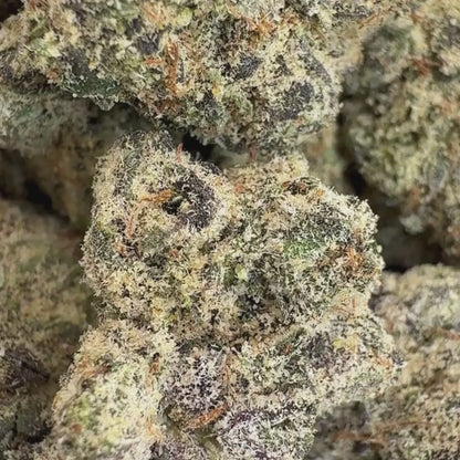 Marshmallow Dream - Indica (Exotic) 3.5g