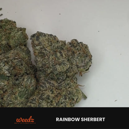 Rainbow Sherbert - Hybrid 3.5g