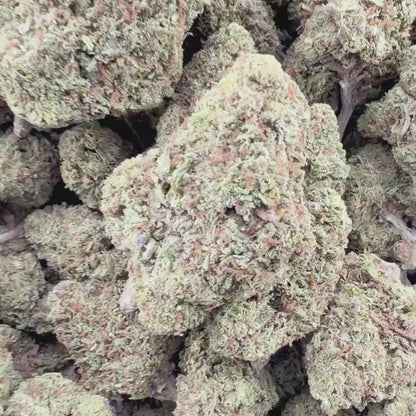 Permanent Marker - Hybrid 3.5g