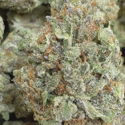 Vanilla Kush - Indica 3.5g