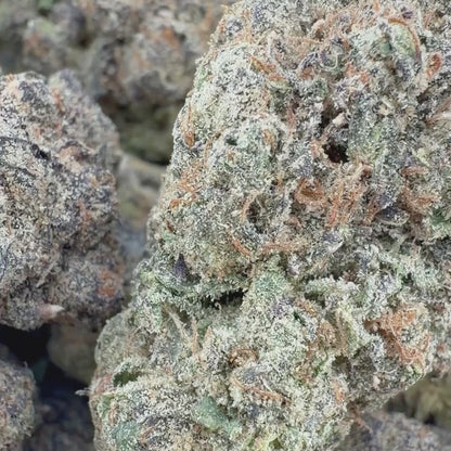 Apple Fritter - Hybrid 3.5g