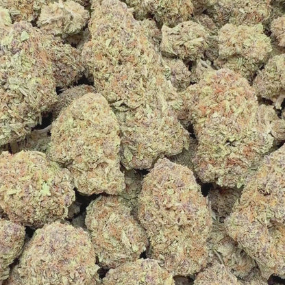 Daytime Diesel - Hybrid 3.5g