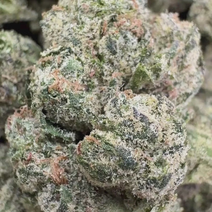 Nerd Runtz - Sativa 3.5g