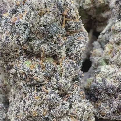 Lucid Dream - Sativa (Exotic) 3.5g