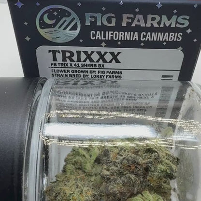 Fig Farms - Trixxx - Hybrid 3.5g